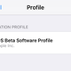 Illustration for article titled How to Get Early Access to New iOS and Android Features